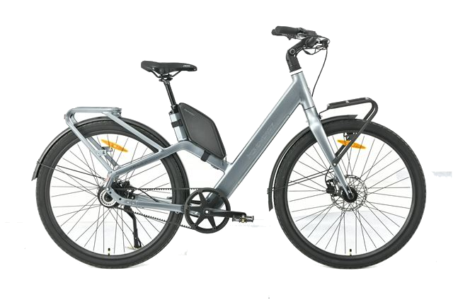 MS ENERGY eBike Veles Plus special gold