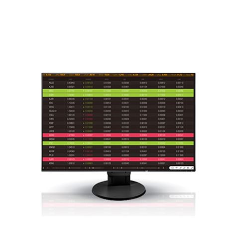 MON 24 EIZO EV2456-BK IPS