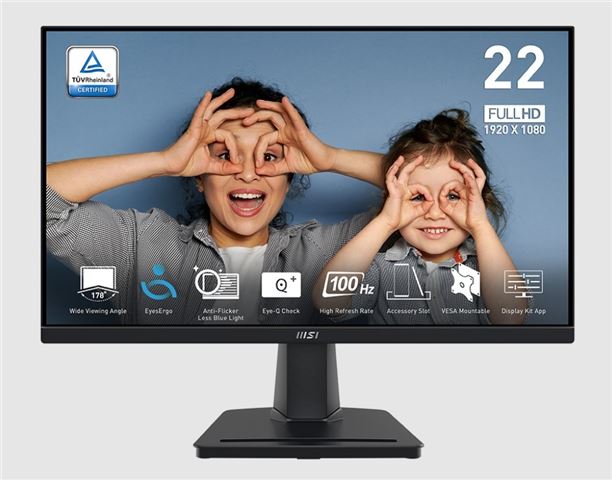 MON 22 MSI PRO MP225V FHD VA 100Hz